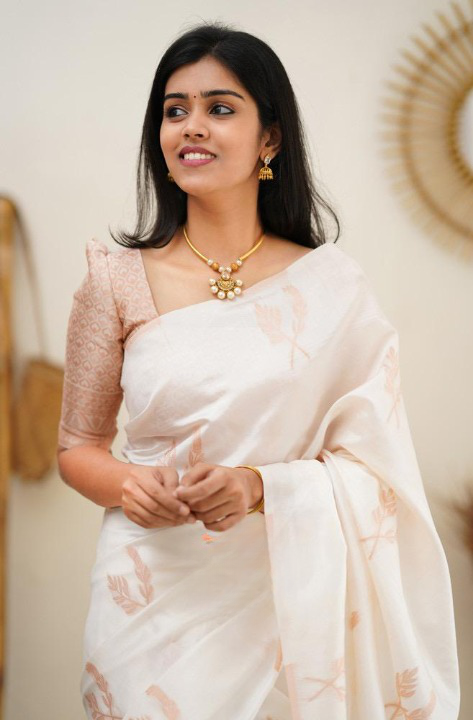 Banarasi Saree