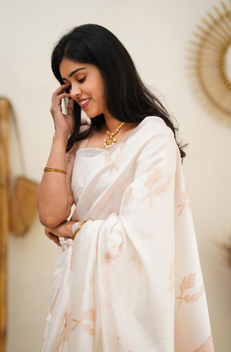 Banarasi Saree