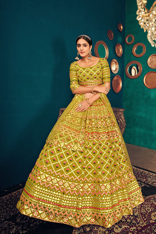 Embroidered Lehenga Choli