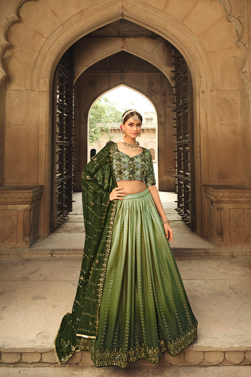 Embroidered Lehenga Choli