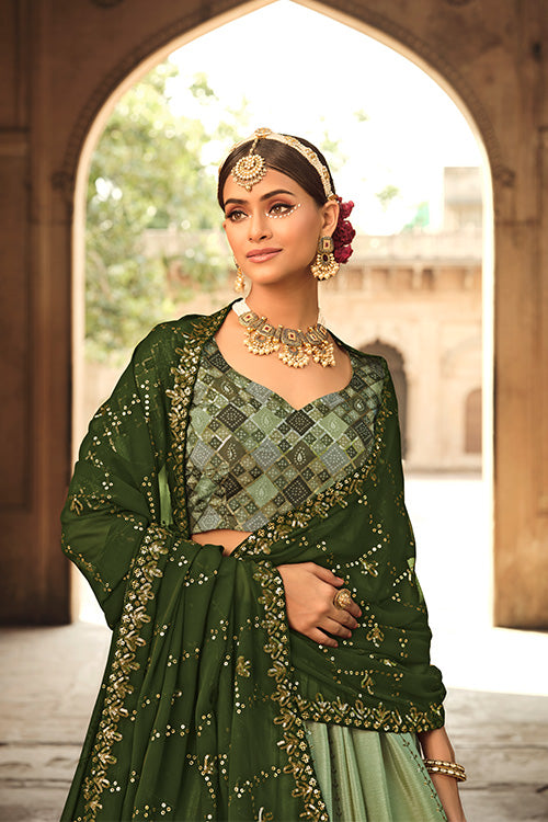 Embroidered Lehenga Choli