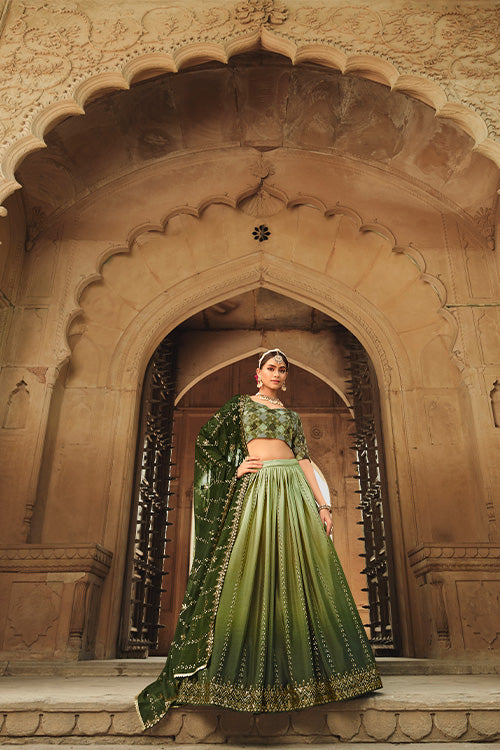 Embroidered Lehenga Choli