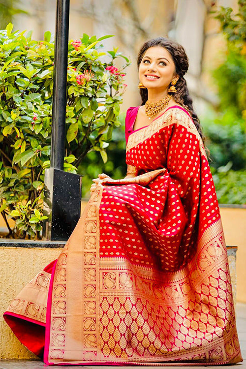 Saree Collection